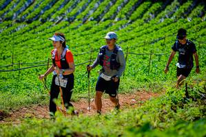 BIB: 2709
                            <button type="button" onclick="openModal(19163639)" class="btn btn-primary btn-sm float-right btn-popup" data-toggle="modal" data-target=".modal-high-quality">
                        <i class="fas fa-shopping-cart"></i> Add to Cart
                    </button>
                                            <button type="button" onclick="isThisMe(19163639, true)" class="btn btn-success btn-sm float-right btn-popup btn-isme hidden" data-toggle="tooltip" data-placement="bottom" title="นี่คือรูปของคุณใช่ไหม คลิกที่นี่เพื่อเอาเข้าอัลบั้ม">
                        <i class="fas fa-plus"></i> Add to album
                    </button>
                    <button type="button" onclick="isThisMe(19163639, false)" class="btn btn-warning btn-sm float-right btn-popup btn-isnotme hidden">
                        <i class="fas fa-ban"></i> Remove from album
                    </button>